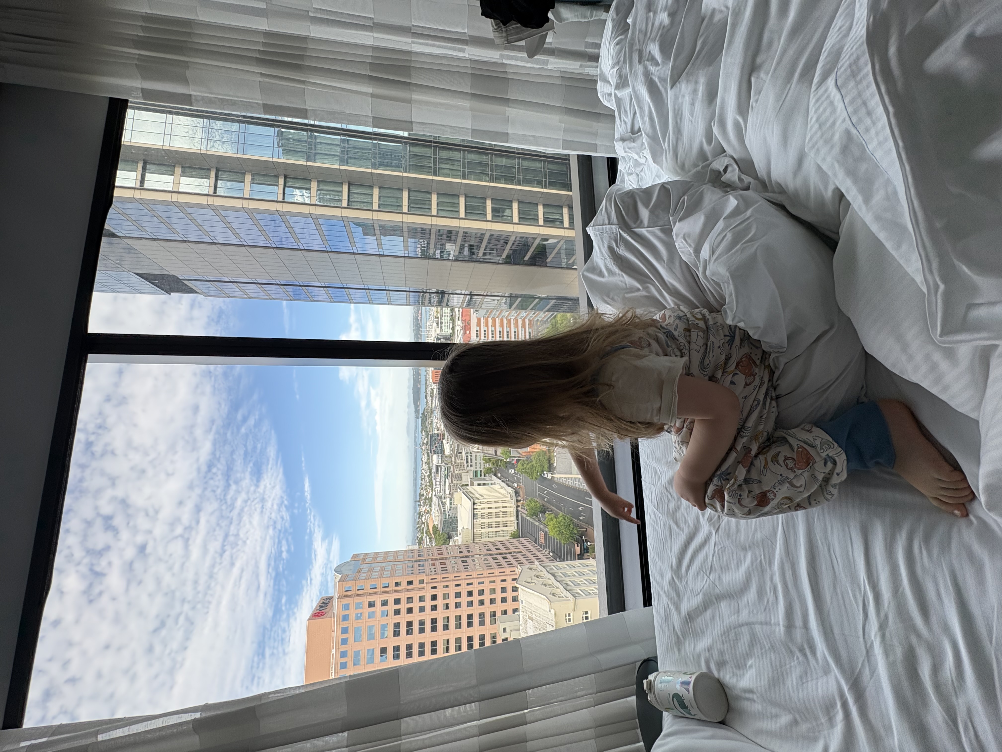 Auckland — Auckland hotel view holiday inn