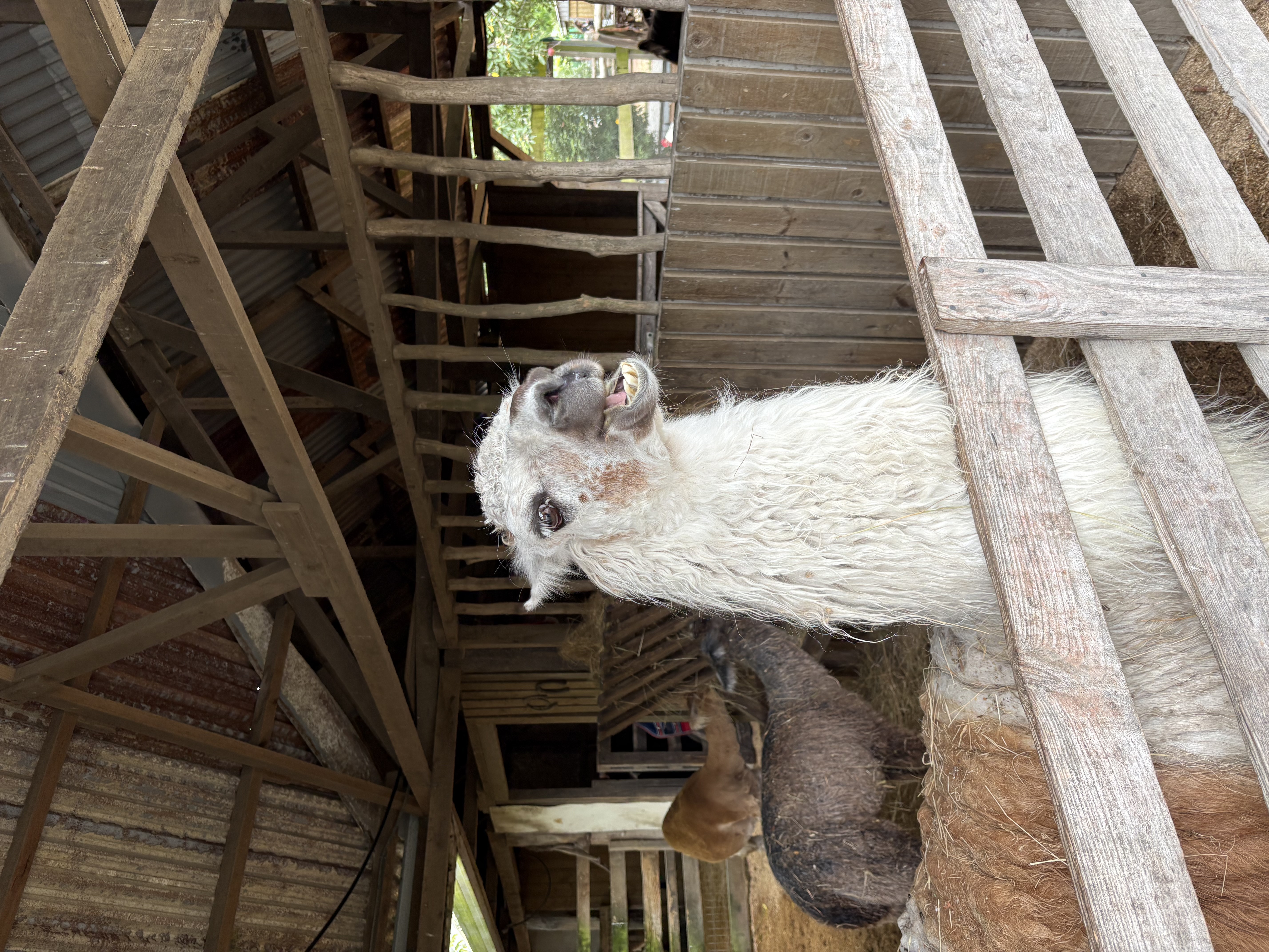 Christchurch — Christchurch 2