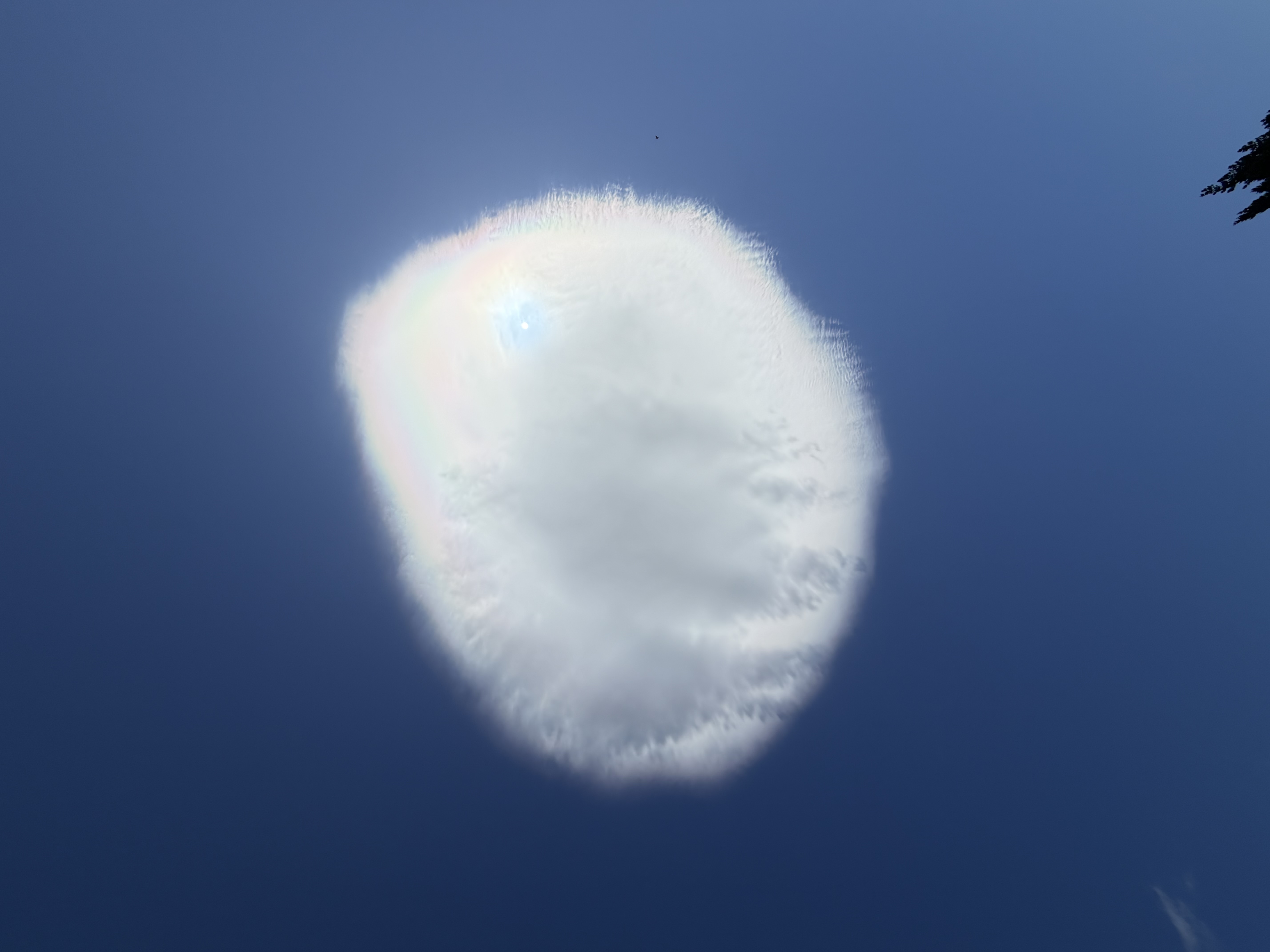 Kaimiro — Kaimiro cloud