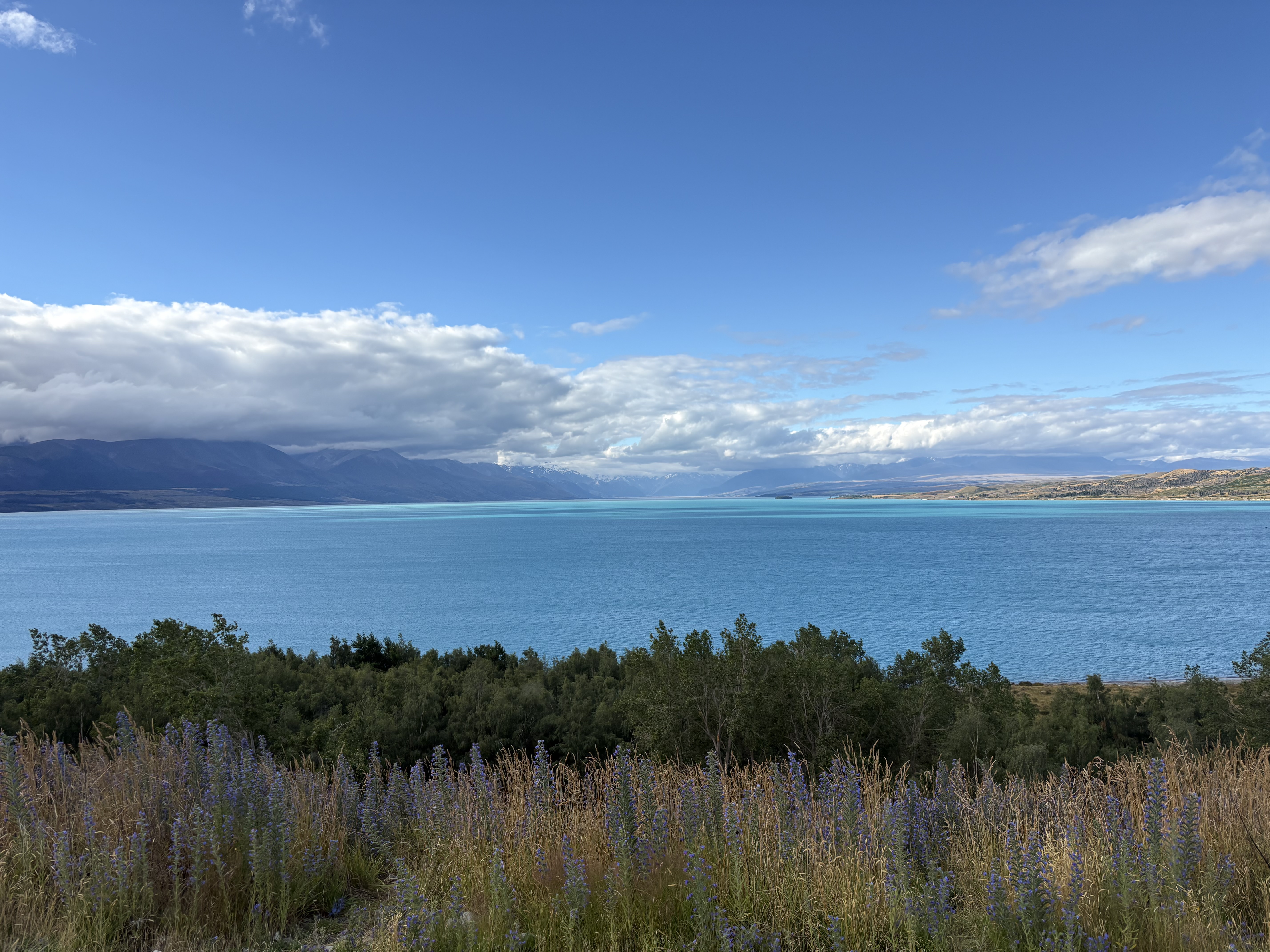 Lake Tekapo — Lake tekapo view 1