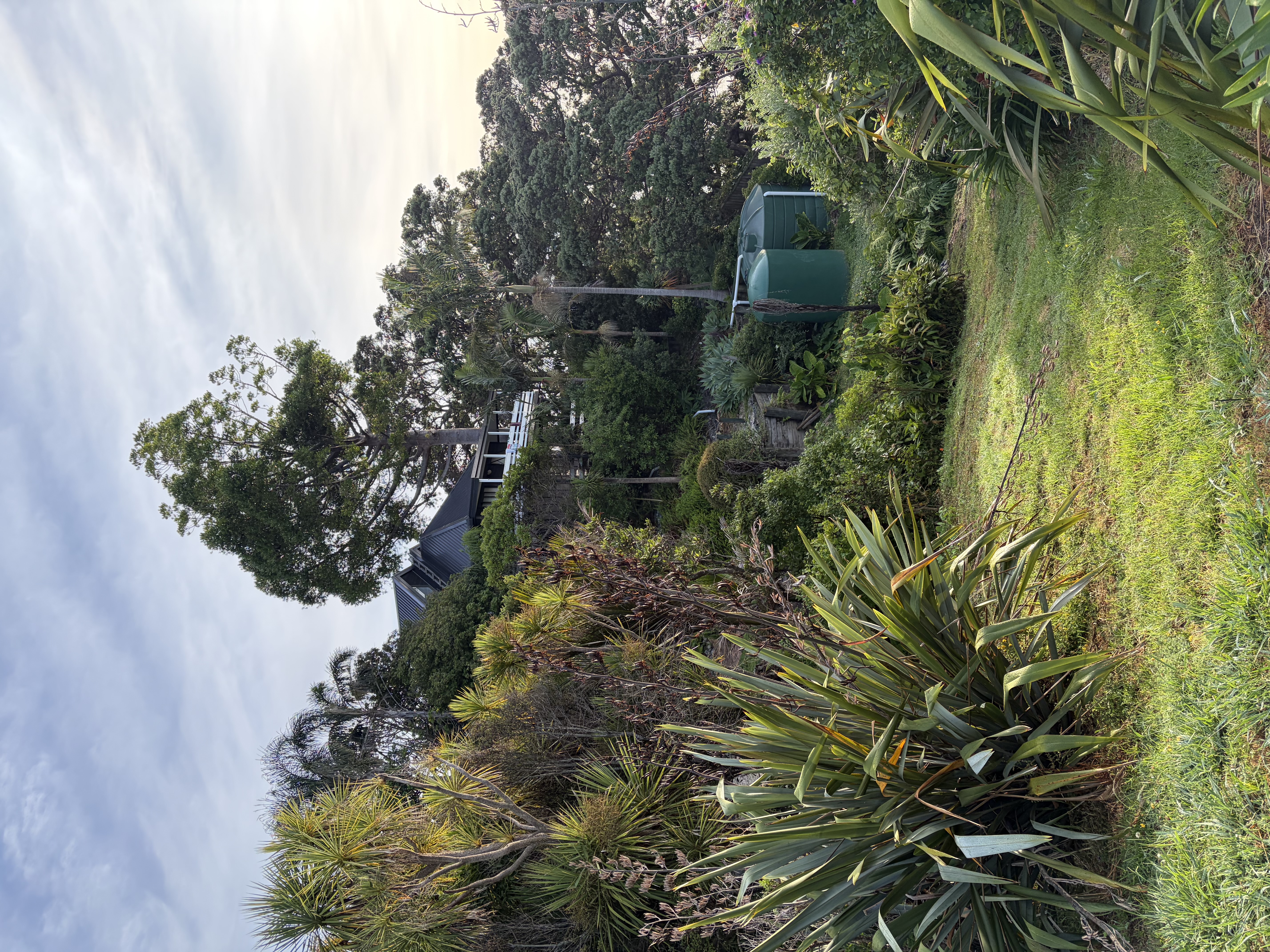 Leigh & Tawharanui: Day 3 — First Proper Driving Day