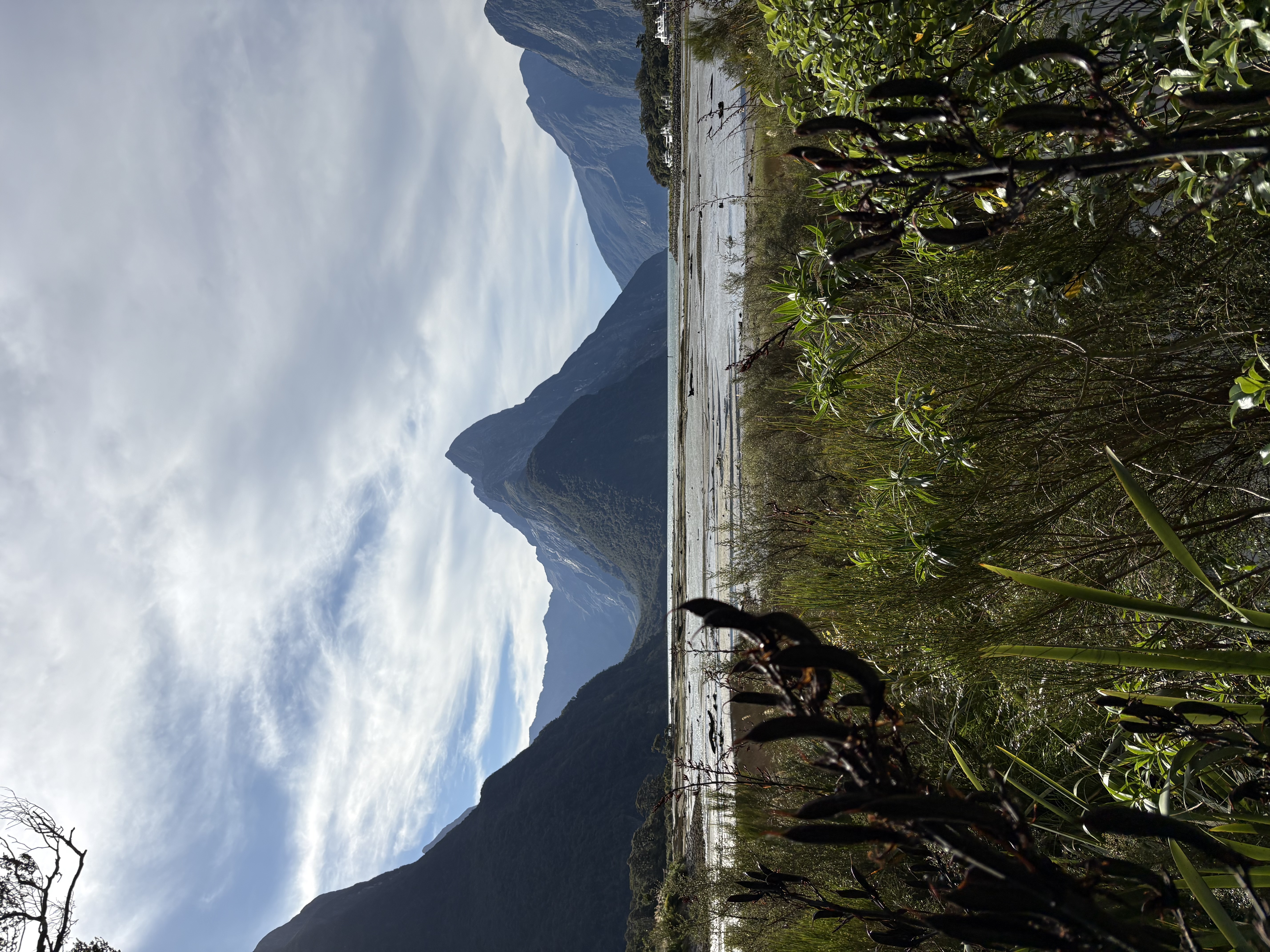 Milford Sound, Fiordland — Milford sound view