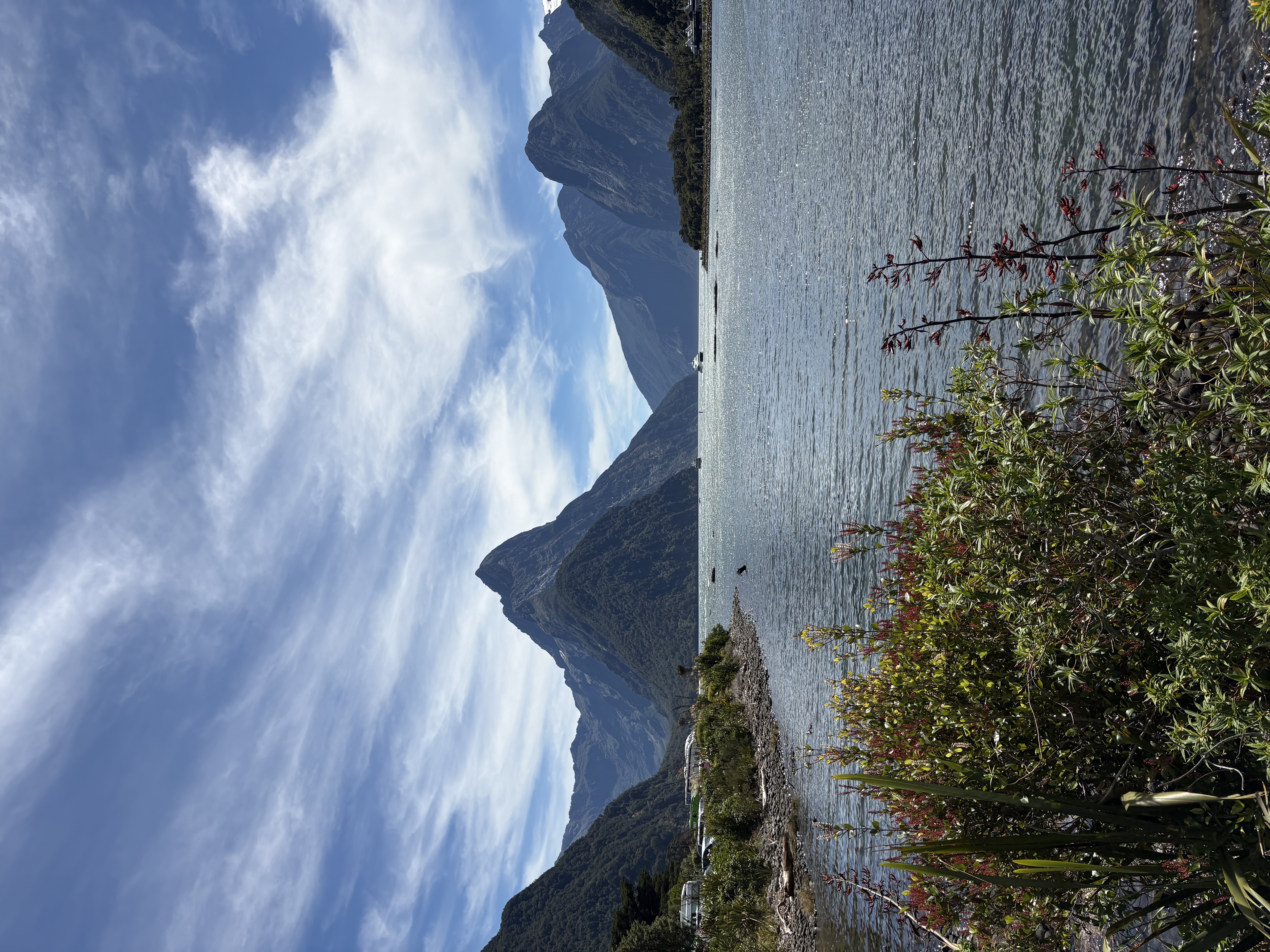 Milford Sound — the view across the fjord, Fiordland