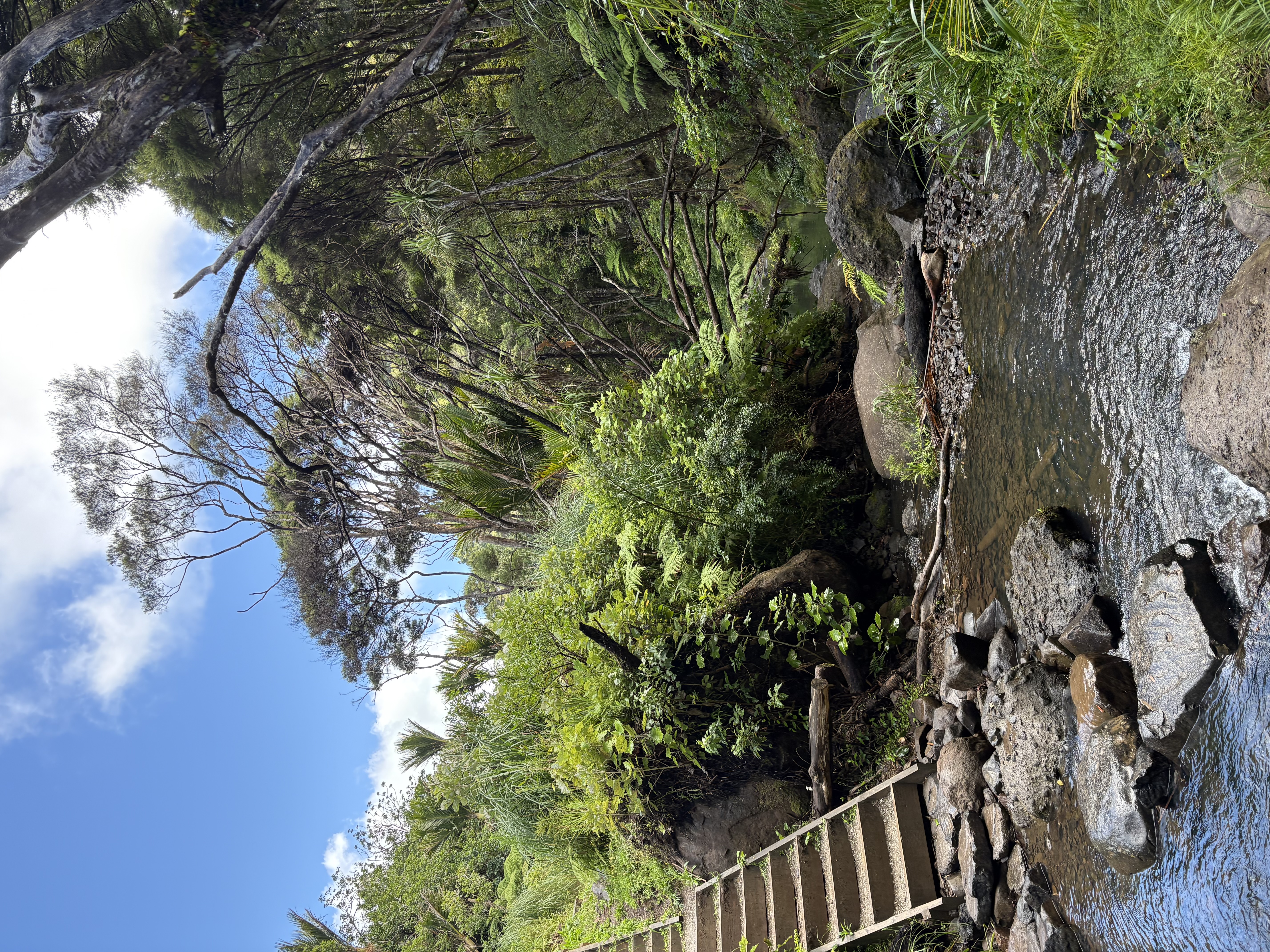 Piha — Kitekite path