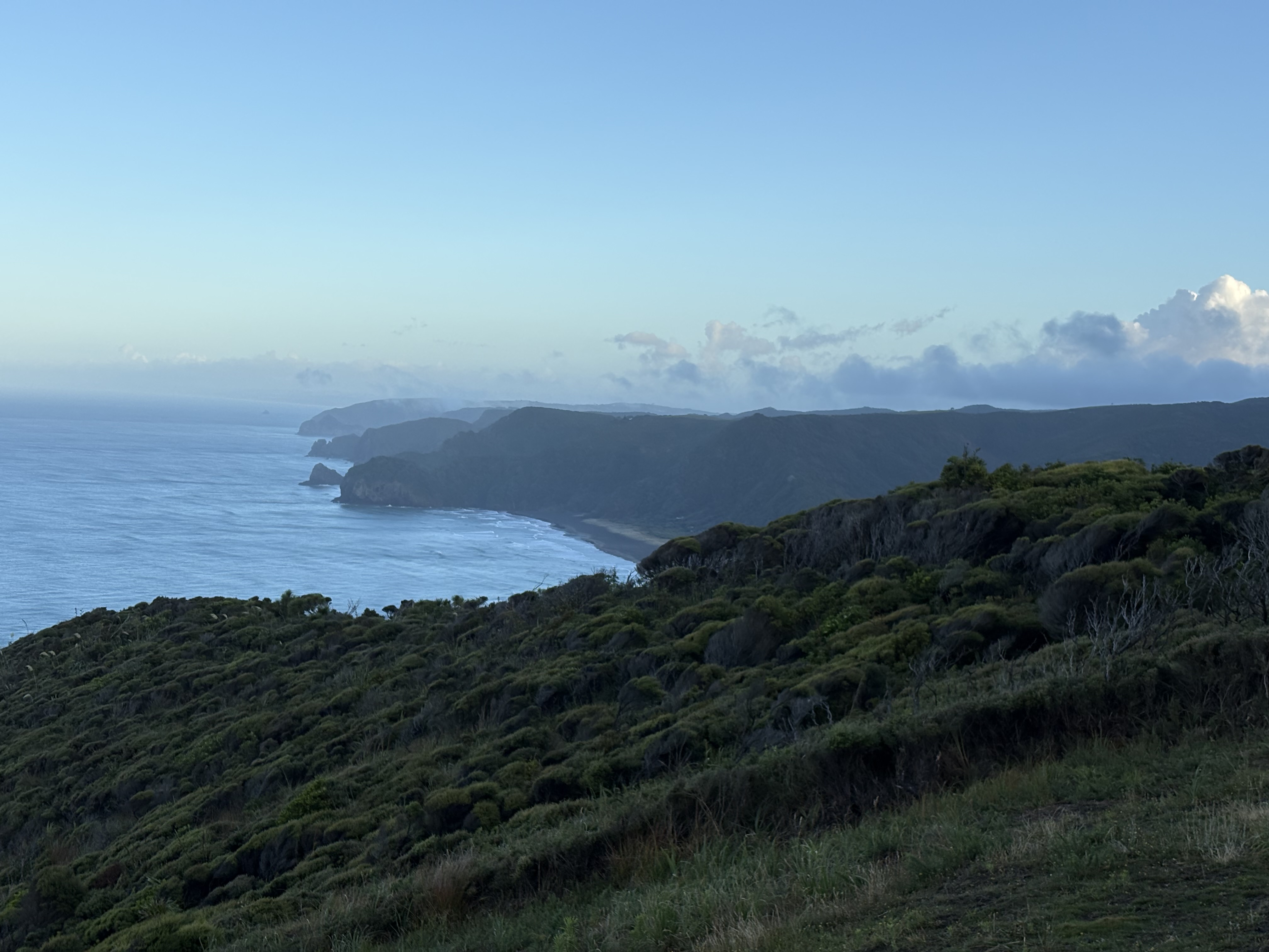 Piha: Day 4 — Black Sand, Dramatic Cliffs, and the Kind of Nature That Humbles You