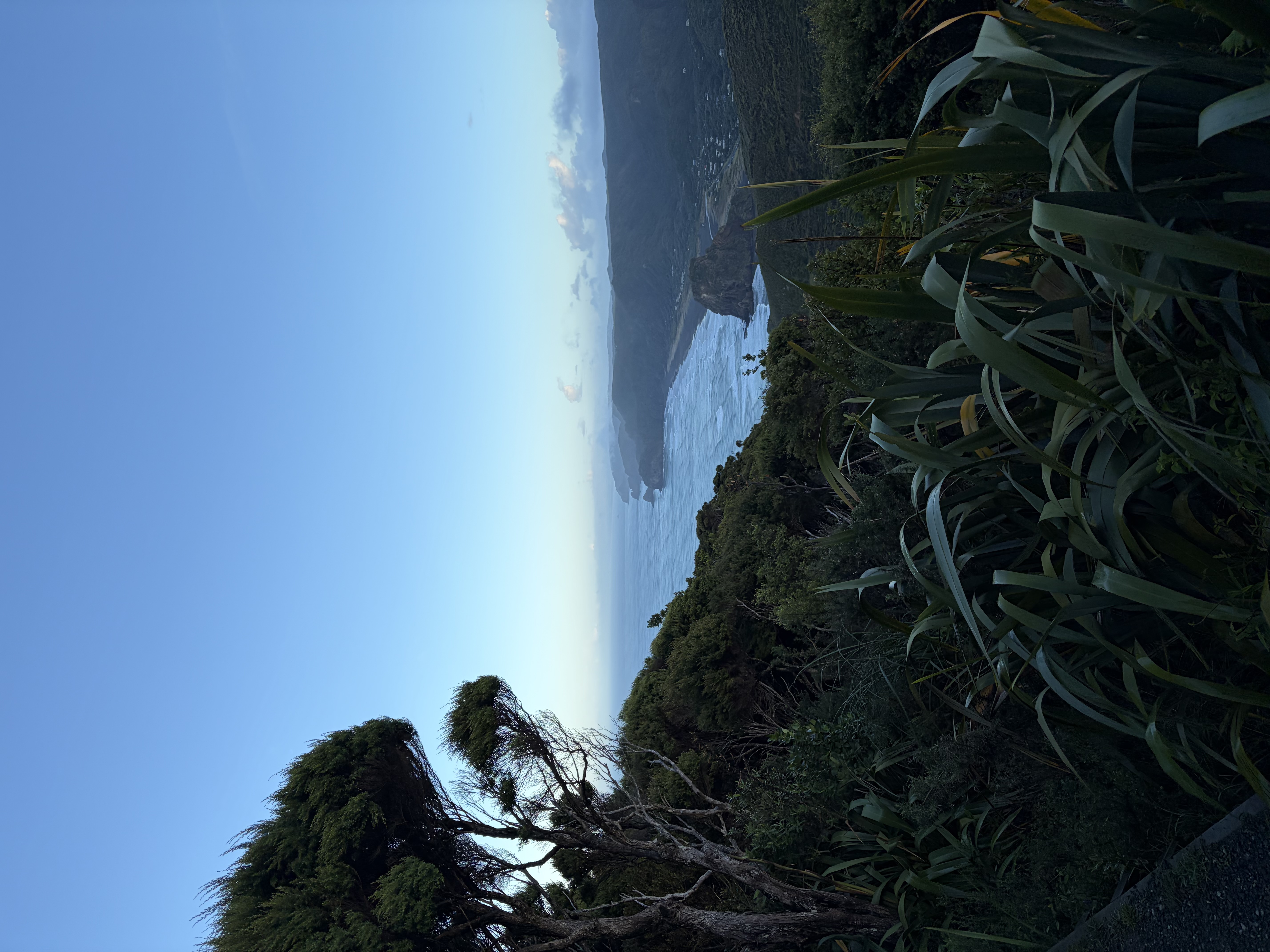 Piha — Piha beach view