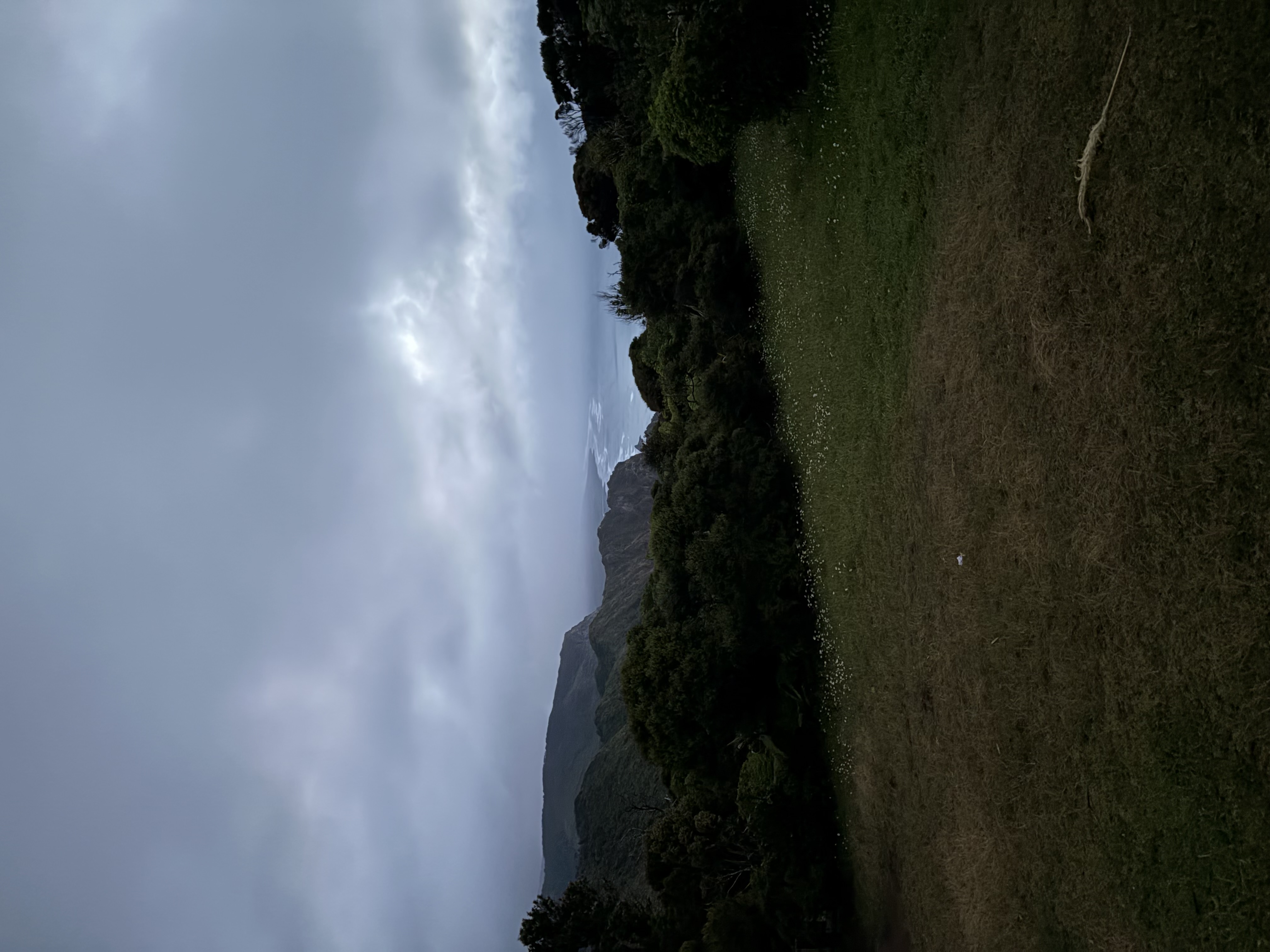 Piha — Piha view campsite