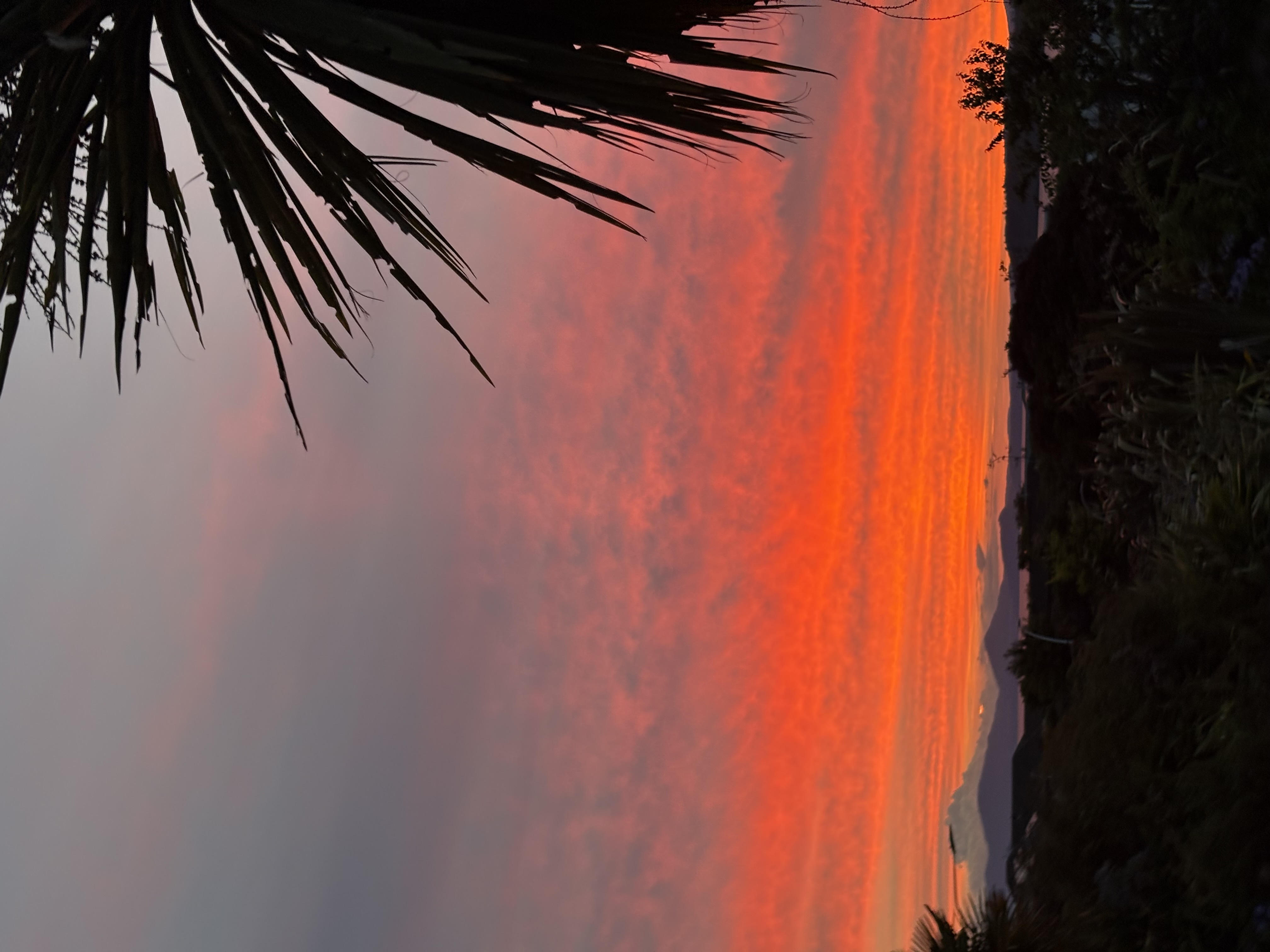 Taupō: Day 10 — Lake Views, Thermal Water, and the Art of Slowing Down