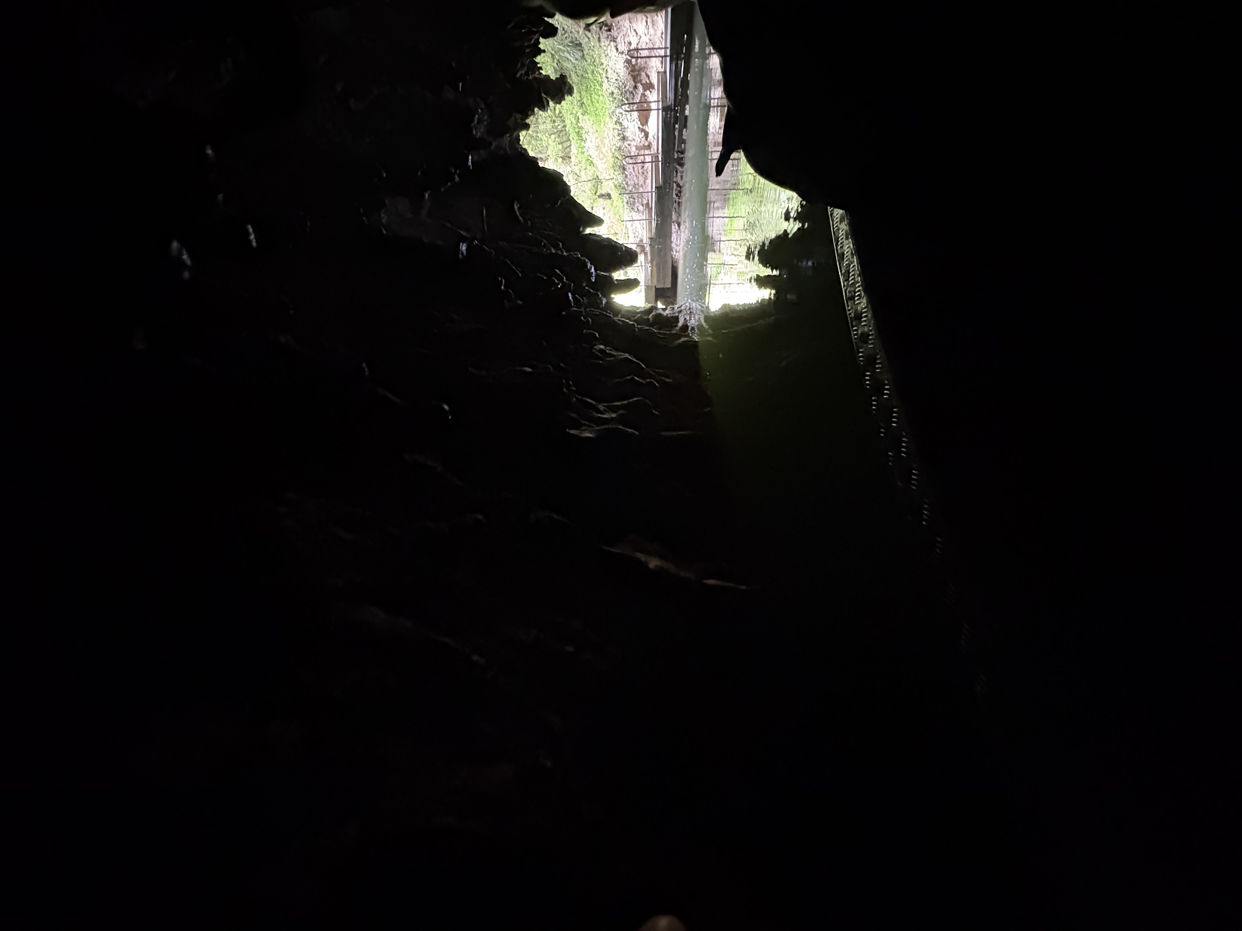 Waitomo — Waitomo cave 1