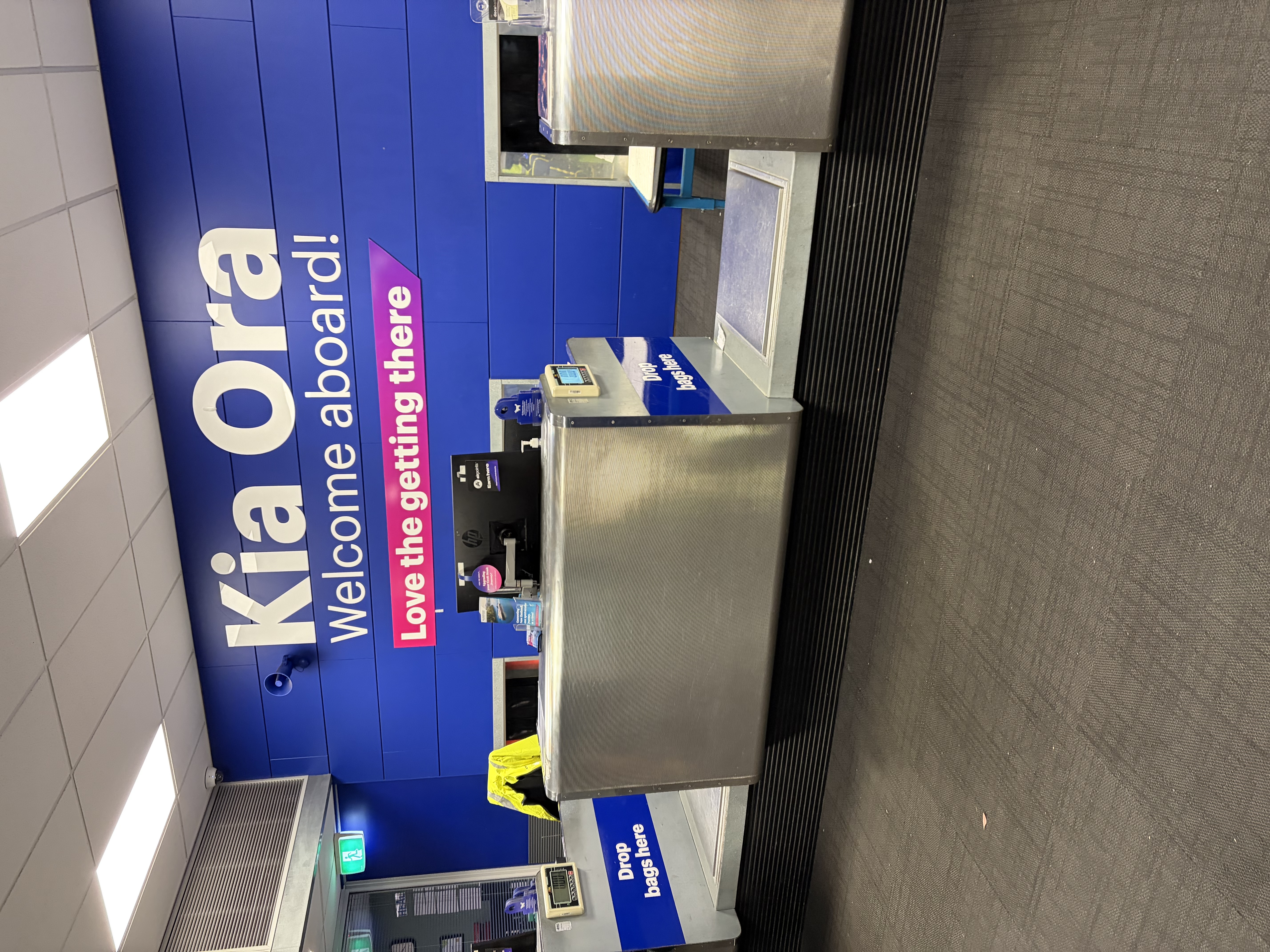 Wellington: Day 14 — Wind, Waterfront Walks, and Culture That Works for Families